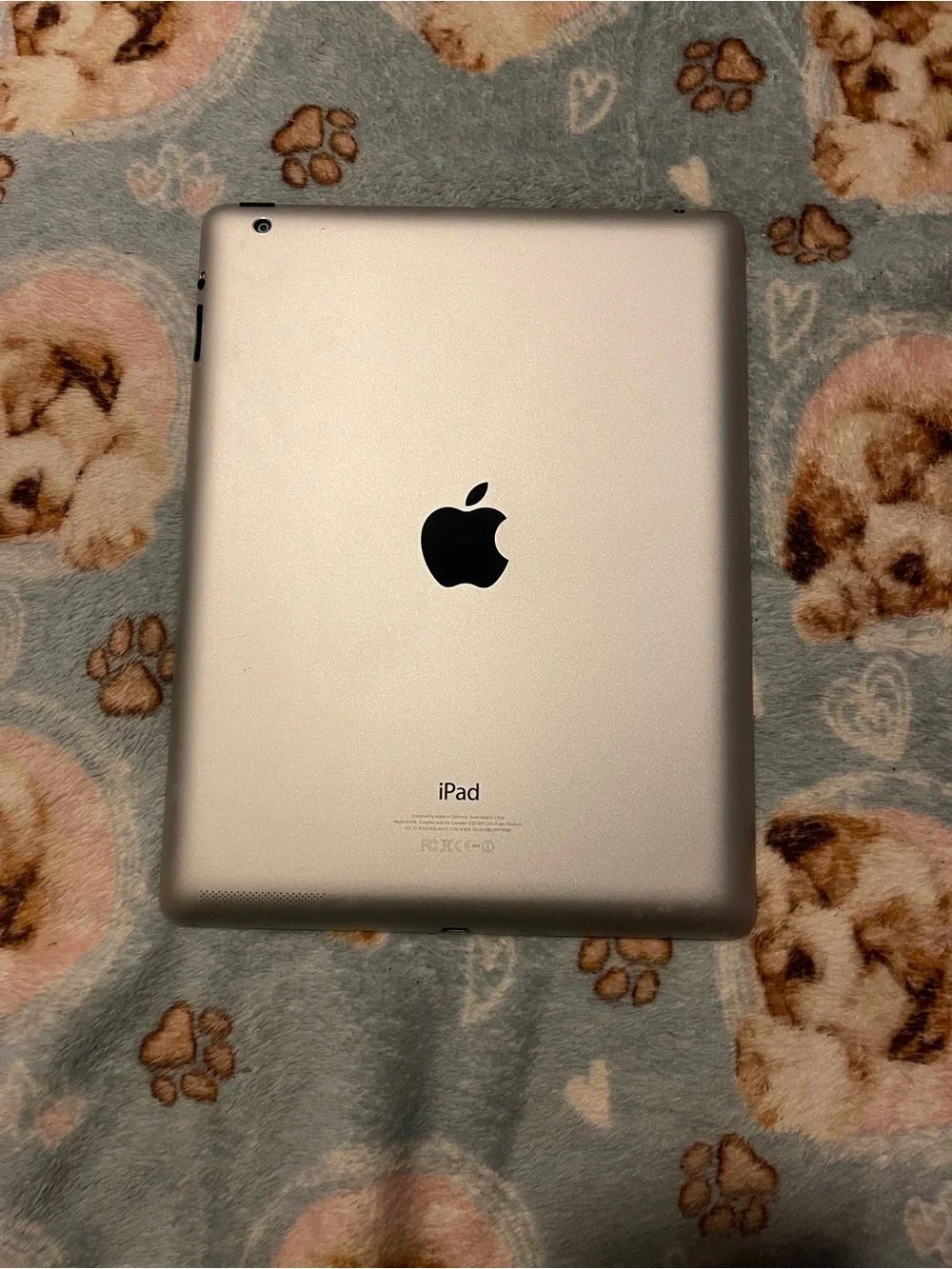 Apple iPad Silver Back - Classic Apple Tablet